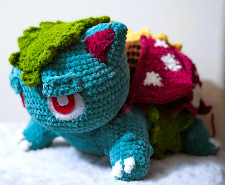 Pokemon Venasuar
