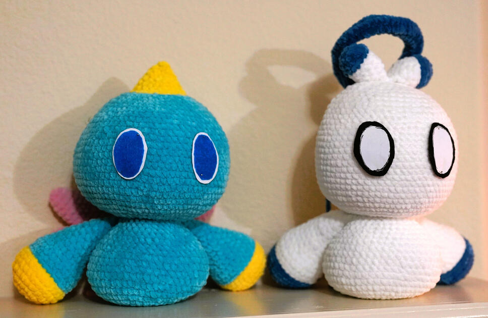 Sonic Adventure 2 Battle Normal and hero chao